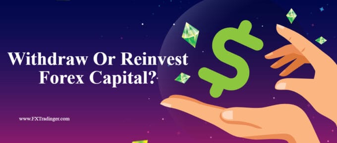 Withdraw Or Reinvest Capital